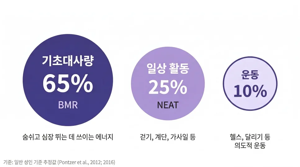 신천역다이어트 운동 열심히 했는데 왜 살이 안 빠질까?
