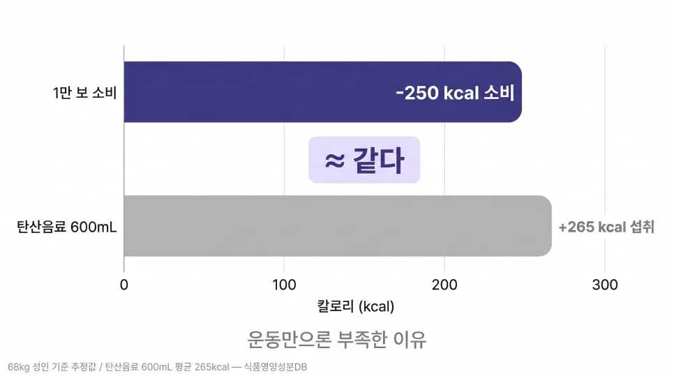 신천역다이어트 운동 열심히 했는데 왜 살이 안 빠질까?