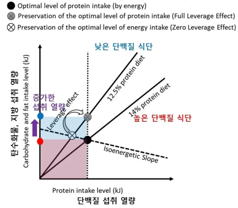 대구신천역한의원 다이어트 폭식? 의지력 말고 이 것 4가지만