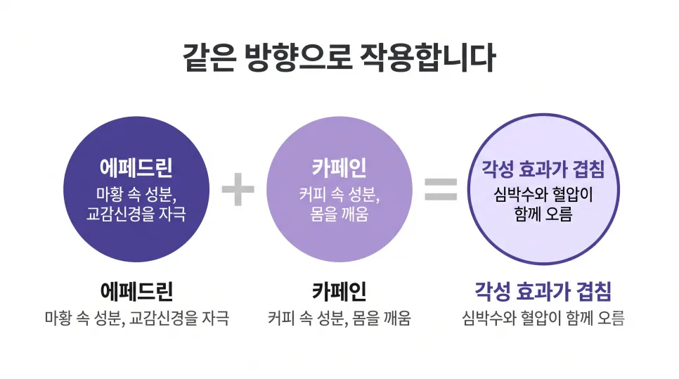 신천동 다이어트 한약 먹는 동안 커피 마셔도 될까요?