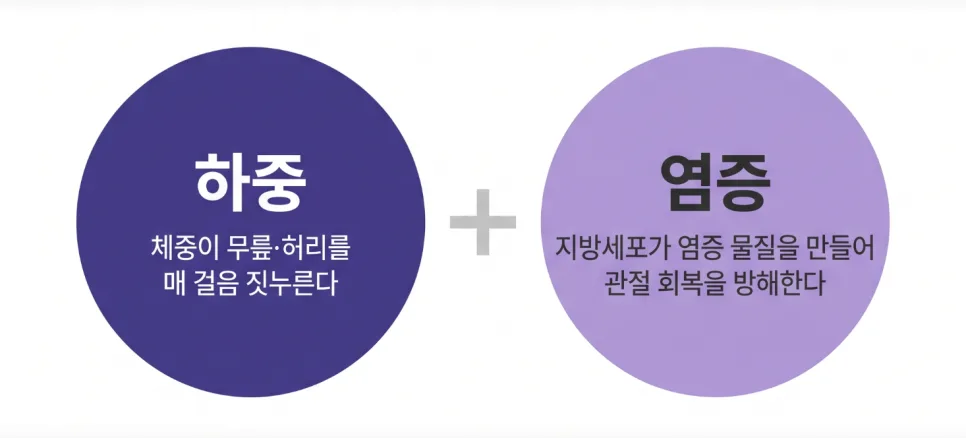 대구 다이어트 한의원에서 무릎이나 허리가 아플 때, 체중 얘기를 꺼내는 이유